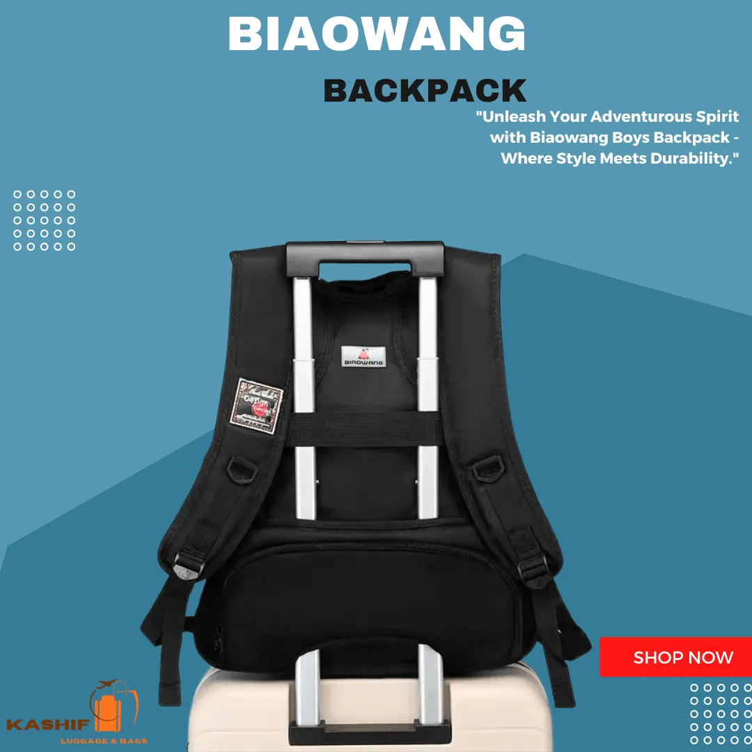 15.6″ Biaowang Padded Backpack-BG39