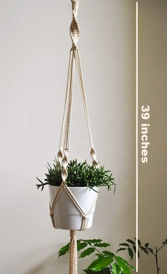 Minimalist Macrame Plant Hanger