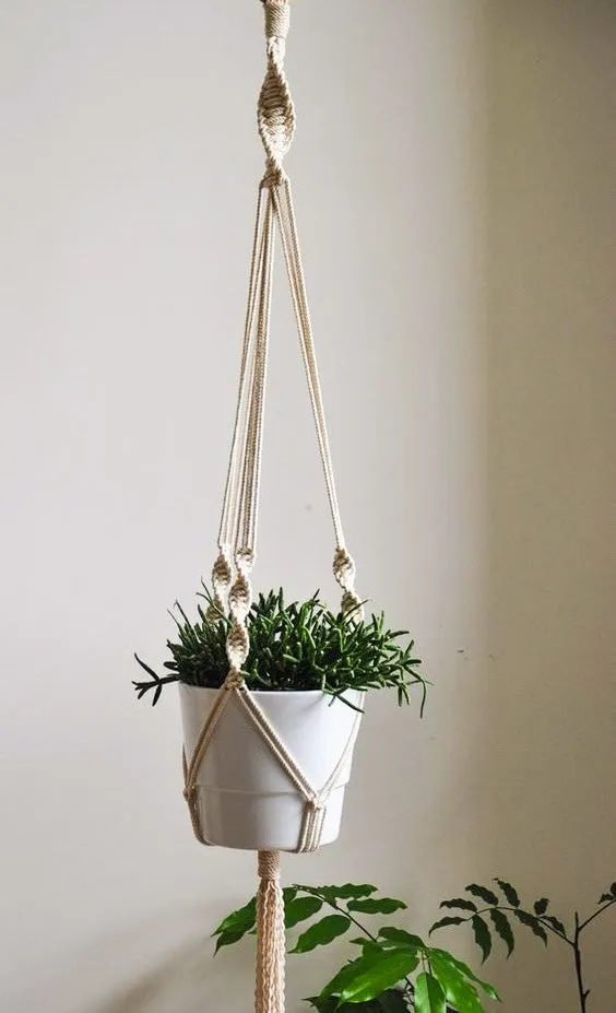 Minimalist Macrame Plant Hanger